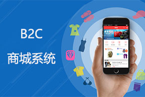 B2C商城系统